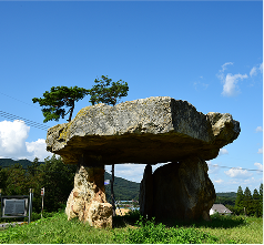 고창&middot;화순&middot;강화 고인돌 유적 (2000년)